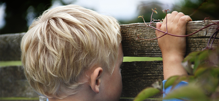 kisgyerek átnéz egy fakerítés résén