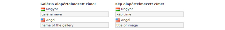 CMS-en a különböző nyelveknek külön mező van képernyőfotó