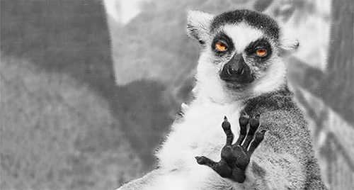 A web halott, vagy nem